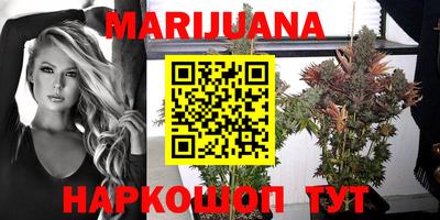 спиды Будённовск
